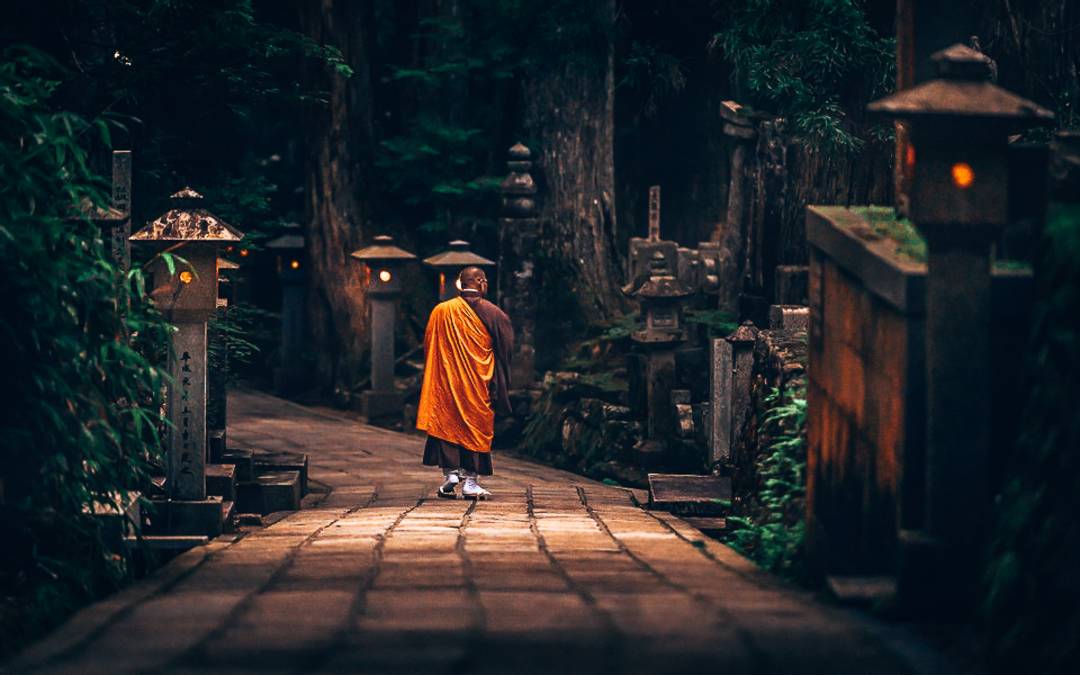 nicolas wauters copyright