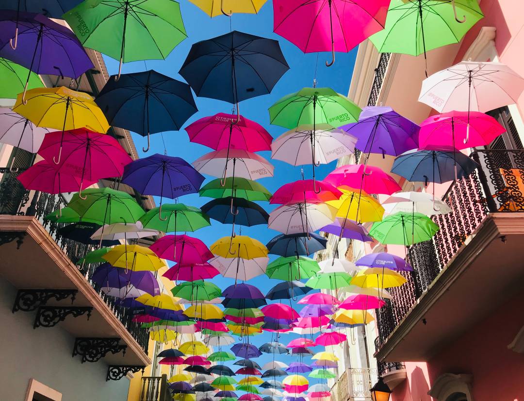 Umbrella_Street.jpg