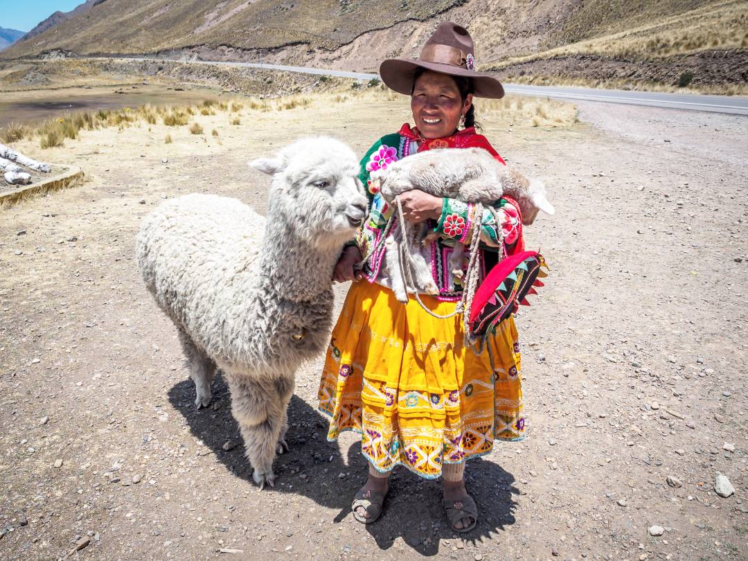 Header_cuzco_lama.jpg