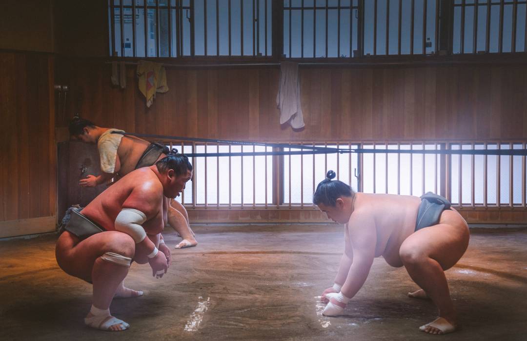 Sumo.jpg