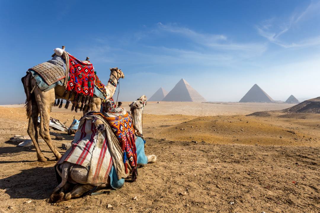 Giza_with_camels.jpg