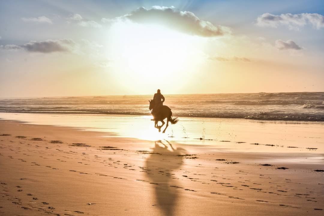 sunset_horseride.jpg