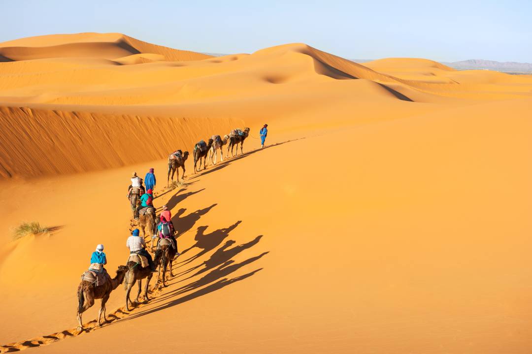 sahara_camels_desert.jpg