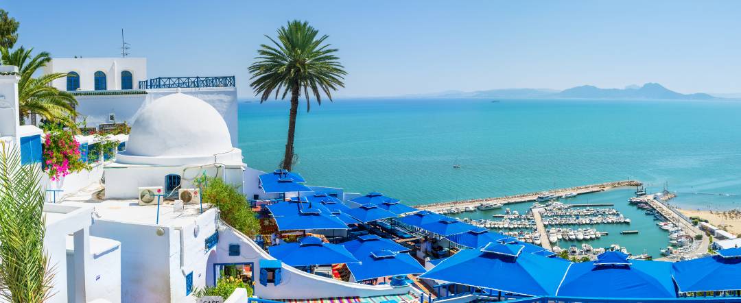 Sidi_Bou_Said_village.jpg