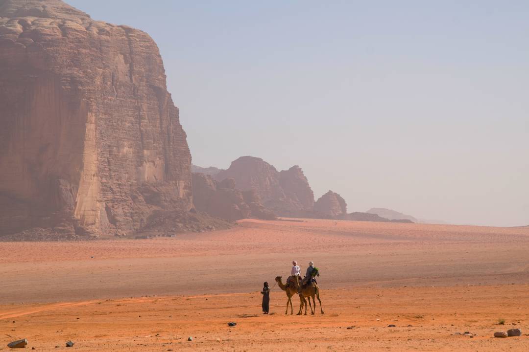 wadi_rum_camel.jpg