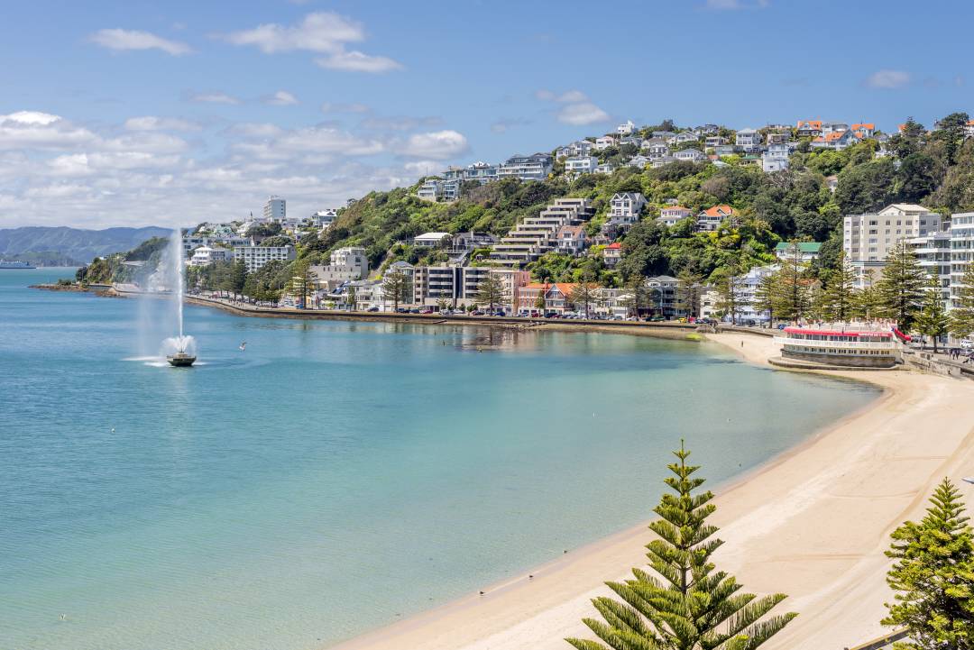Oriental_Bay_beach.jpg