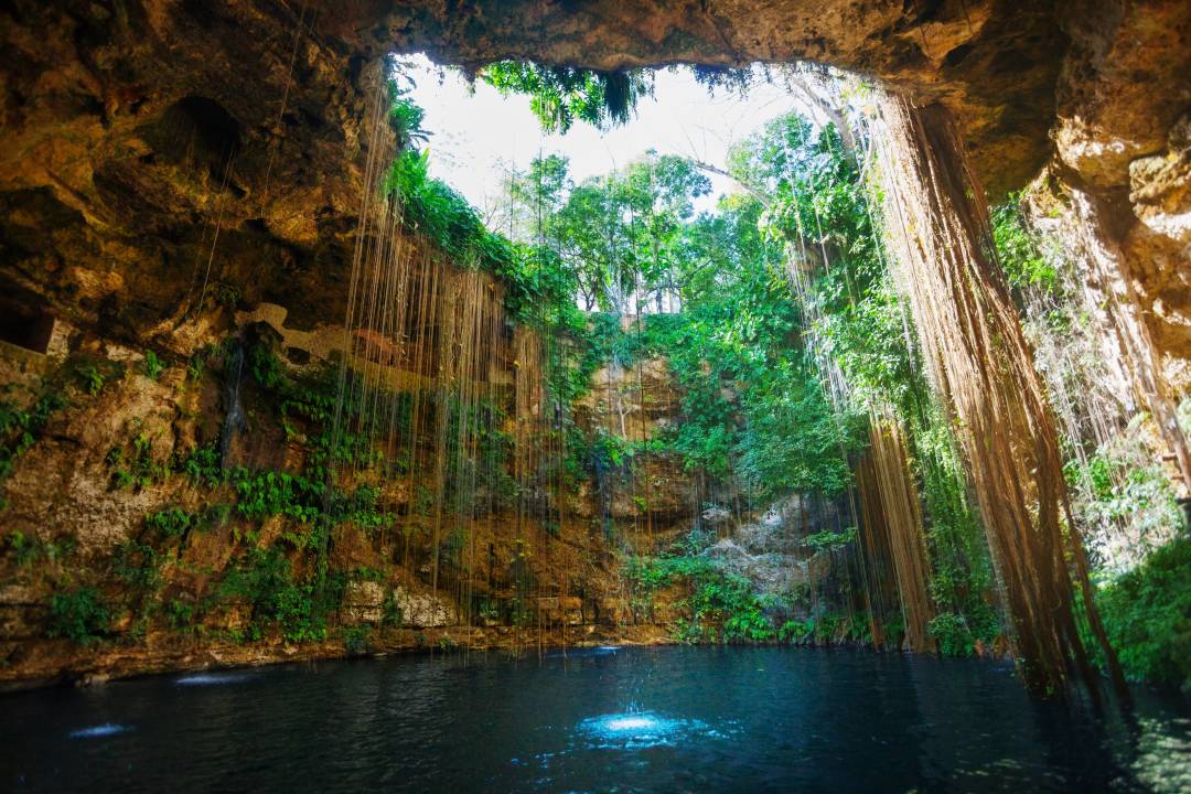 Header_Cenote.jpg