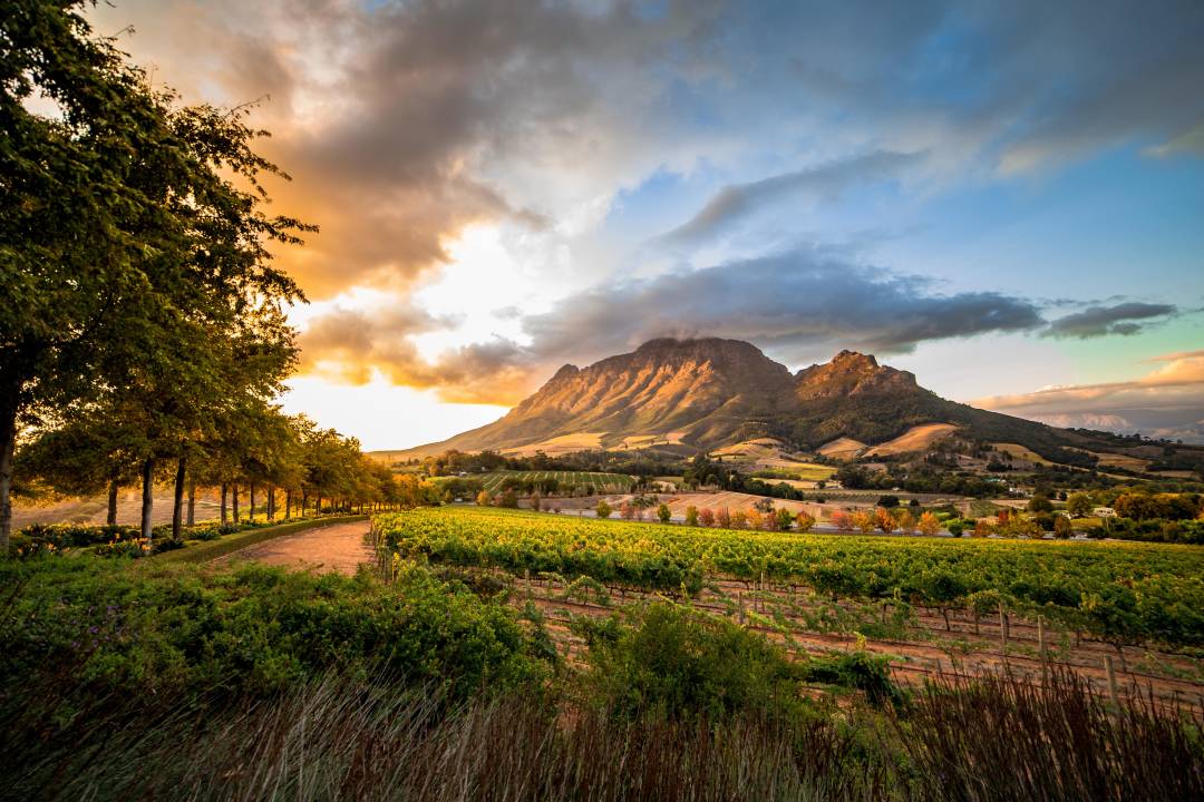 header_Simonsberg_Stellenbosch.jpg