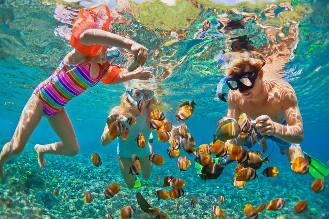 Snorkling_family.jpg