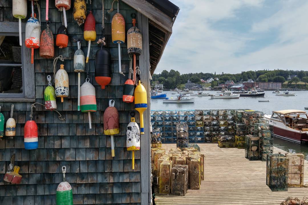 DAY_4_Bar_Harbor_bouys_lobster_fishing_coastal.jpg