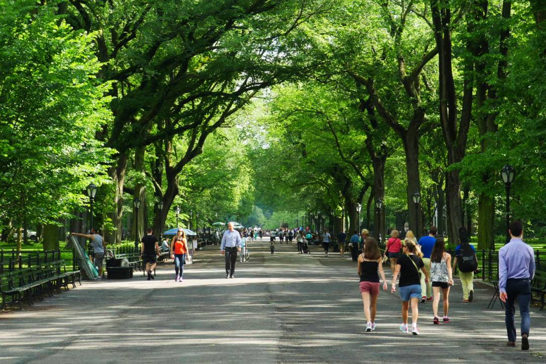 Central_Park_Way.jpg