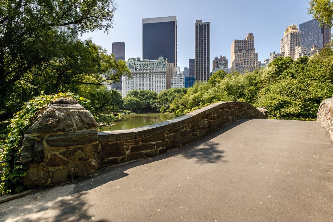Central_Park_Bridge.jpg