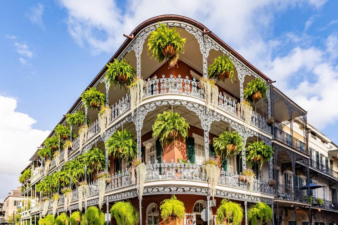 D7_New_Orleans_French_Building.jpg