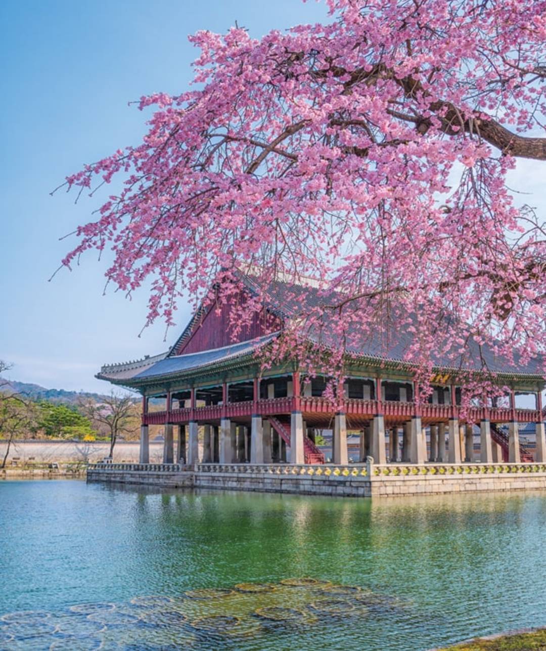 Gyeongbokgung.jpg