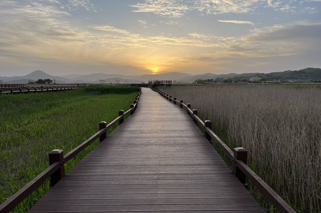 Suncheon_bay.jpg