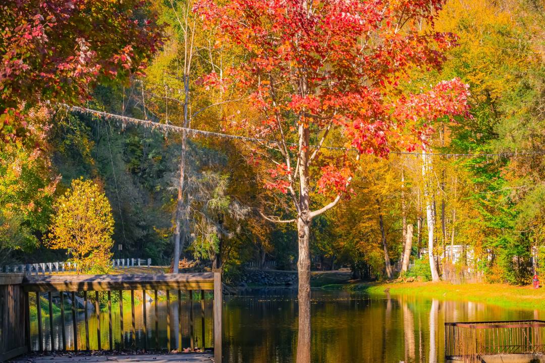 Cherokee_autumn.jpg