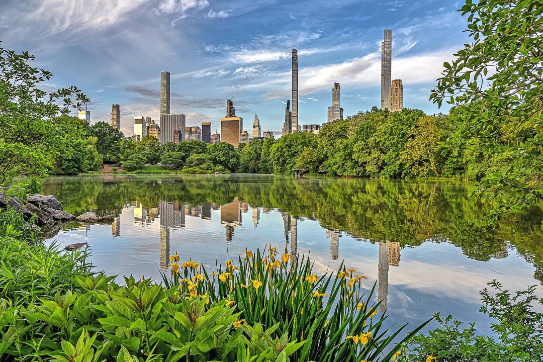 central_park_lake.jpg