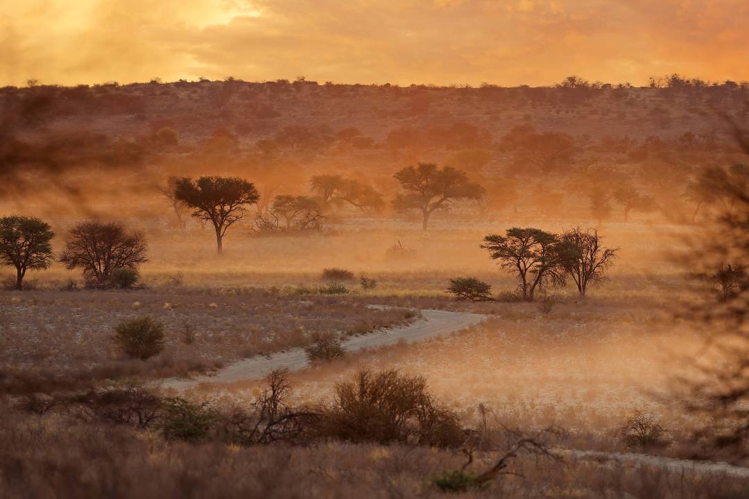 Namibia_Ellen_Kgalagadi.jpg
