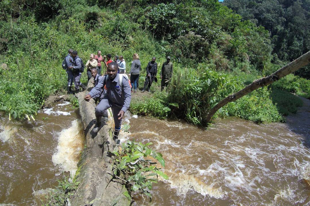 Ouganda_Trekking_Guids.jpg