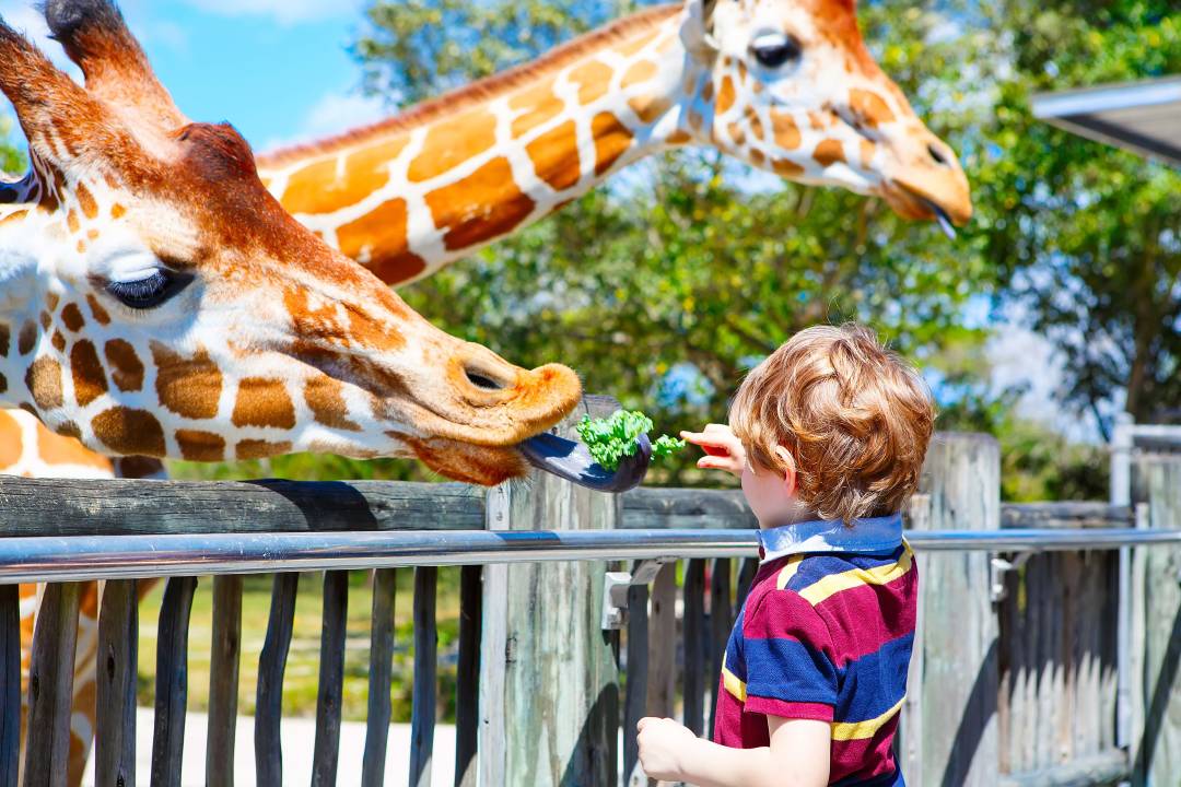 miami_zoo.jpg