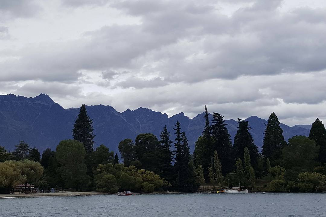 lake_side_pine_forest.jpg