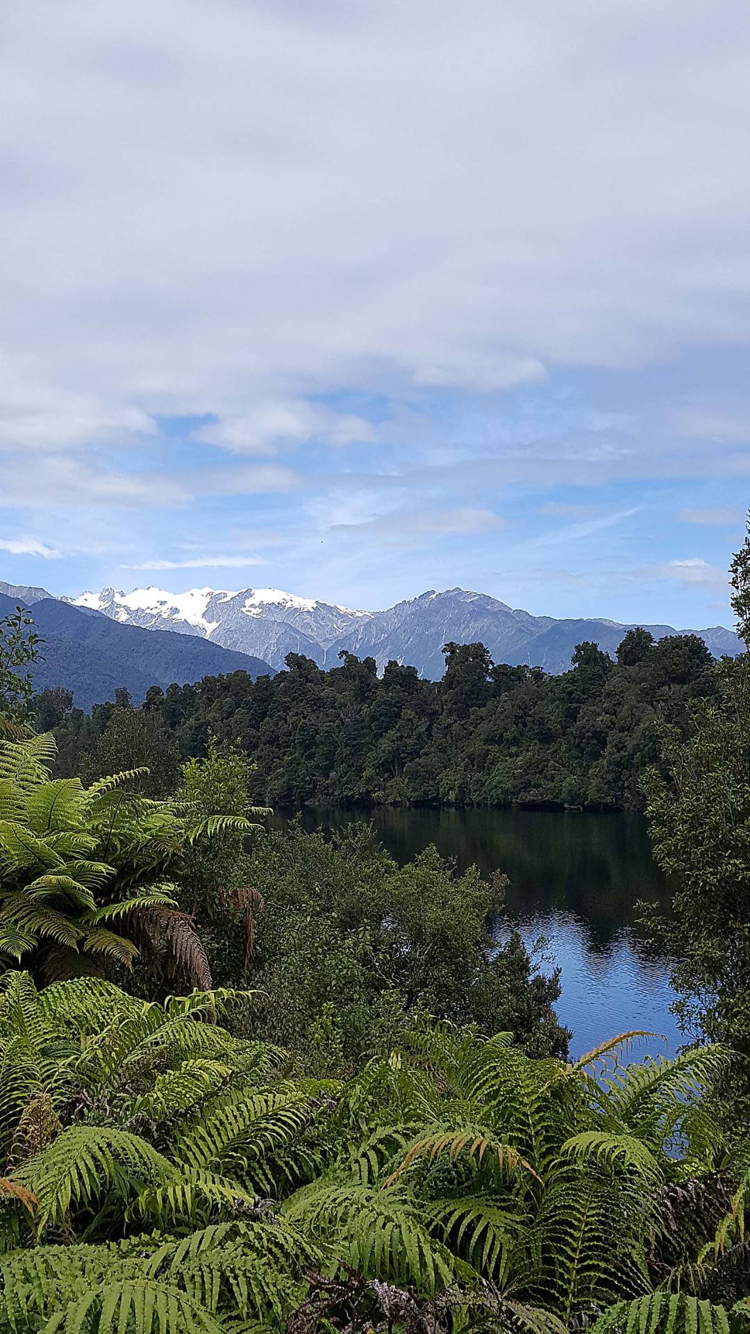 lake_matheson_ferns_and_mountains.jpg