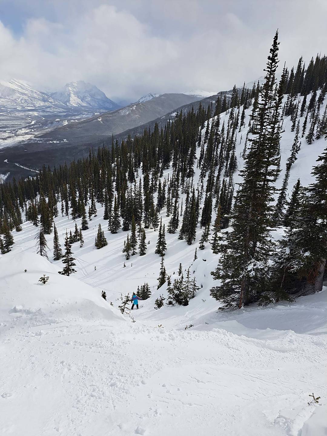 marmot-basin-slope.jpg