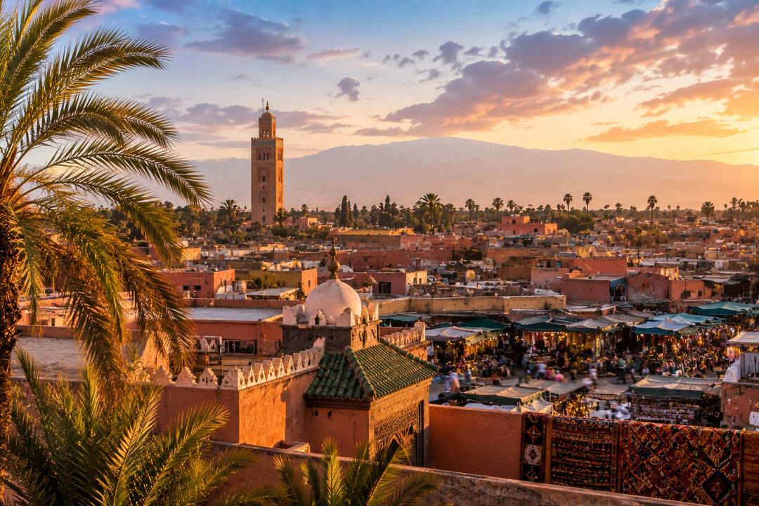 Week_6_Marrakesh.jpg