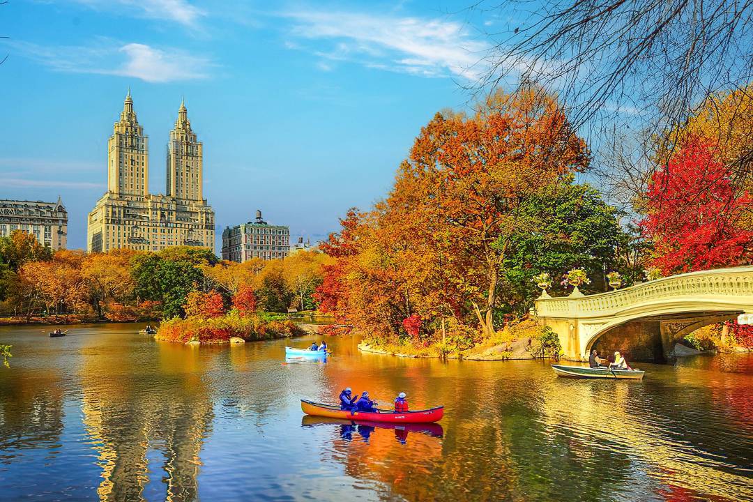 new_york.jpg