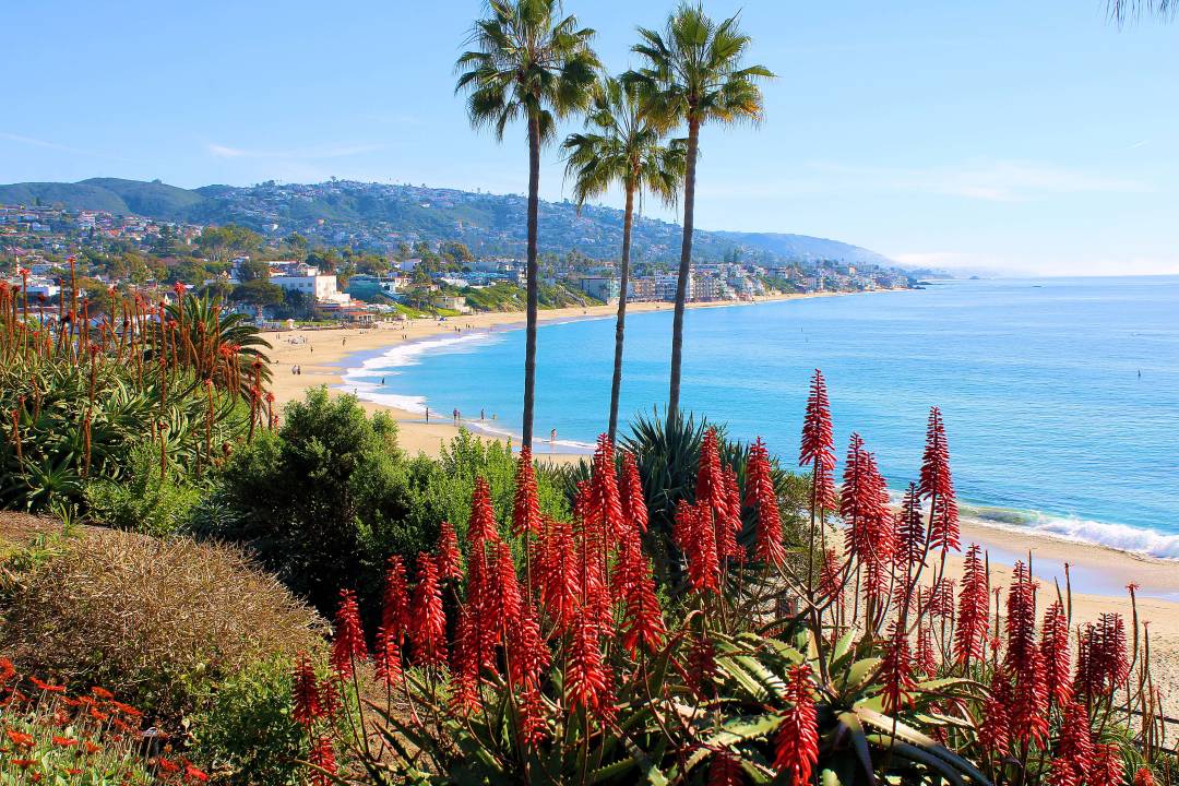 laguna-beach-california-coastline.jpg