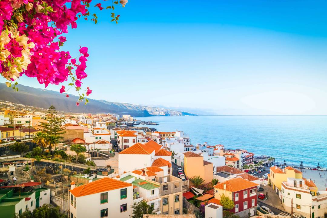 tenerife_coastal_town_bougainvillea.jpg
