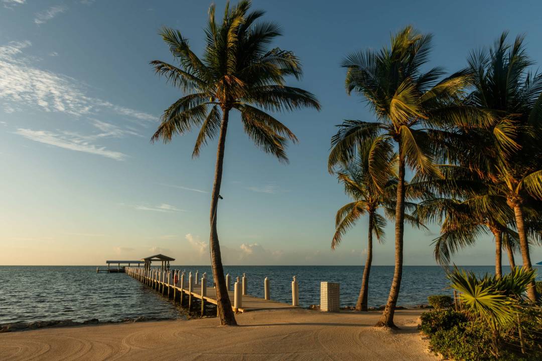 prize_florida_palms_pier.jpg