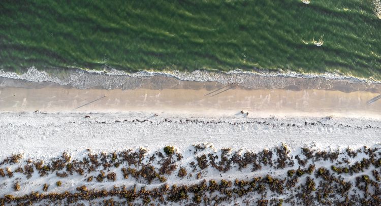 La côte paradisiaque en Floride | Connections.be