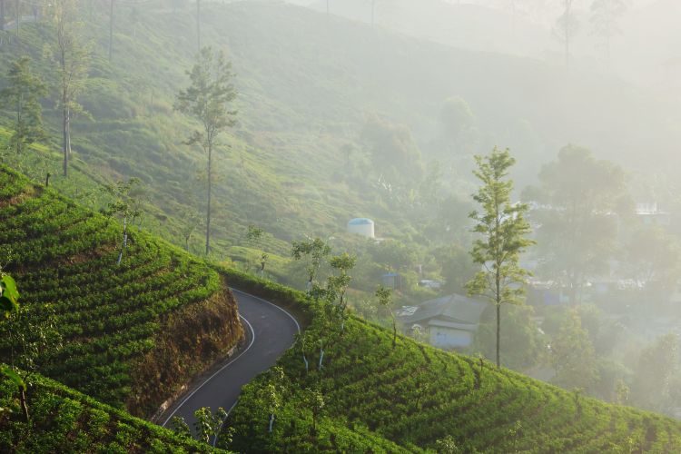 Cheers to 10 years: Why Sri Lanka was our ultimate anniversary trip | Connections.be 