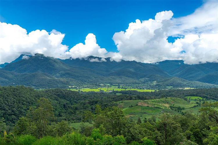 Three Days, Many Trunks: my Time at The Bush Camp | Connections.be 