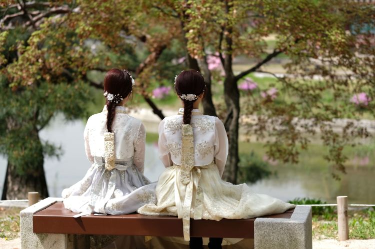 Cherry blossoms, kimchi, and photo booths: My road trip in South Korea | Connections.be