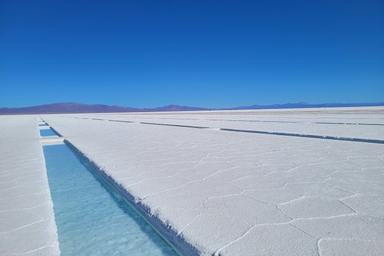 Northern Argentina with the family: a journey through the Andes full of colour, altitude and adventure | Connections.be