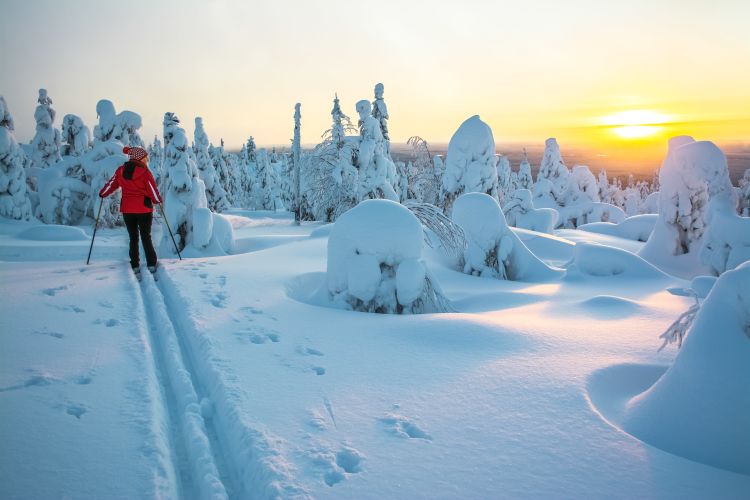 Lapland Specials | Connections.be