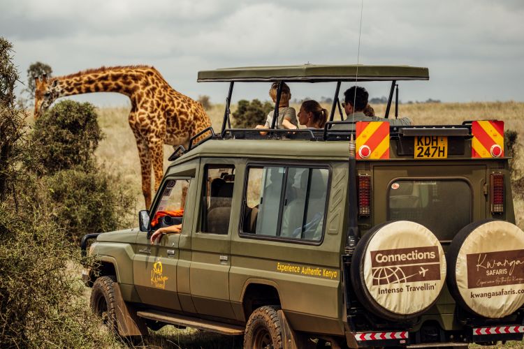 Kenya Safari Experiences | Connections.be