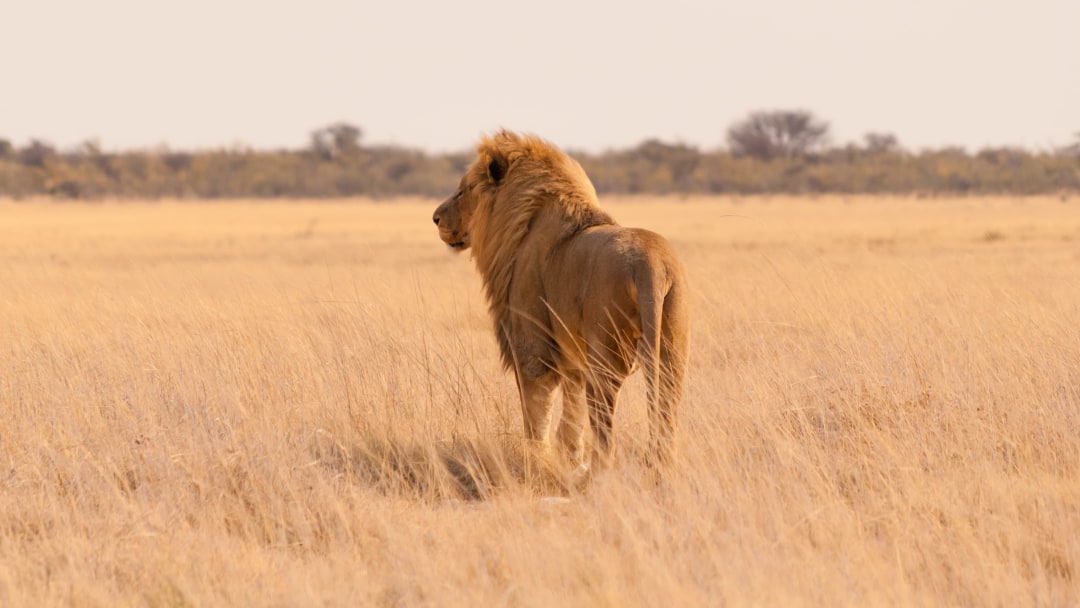 Day3_Etosha_National_Park.jpg