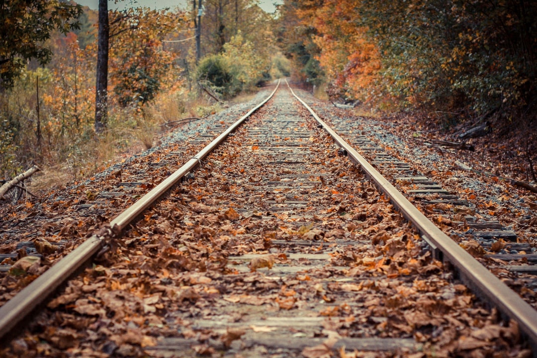 DAY_11_Train_Track_Blue_Ridge_Mountains.jpg