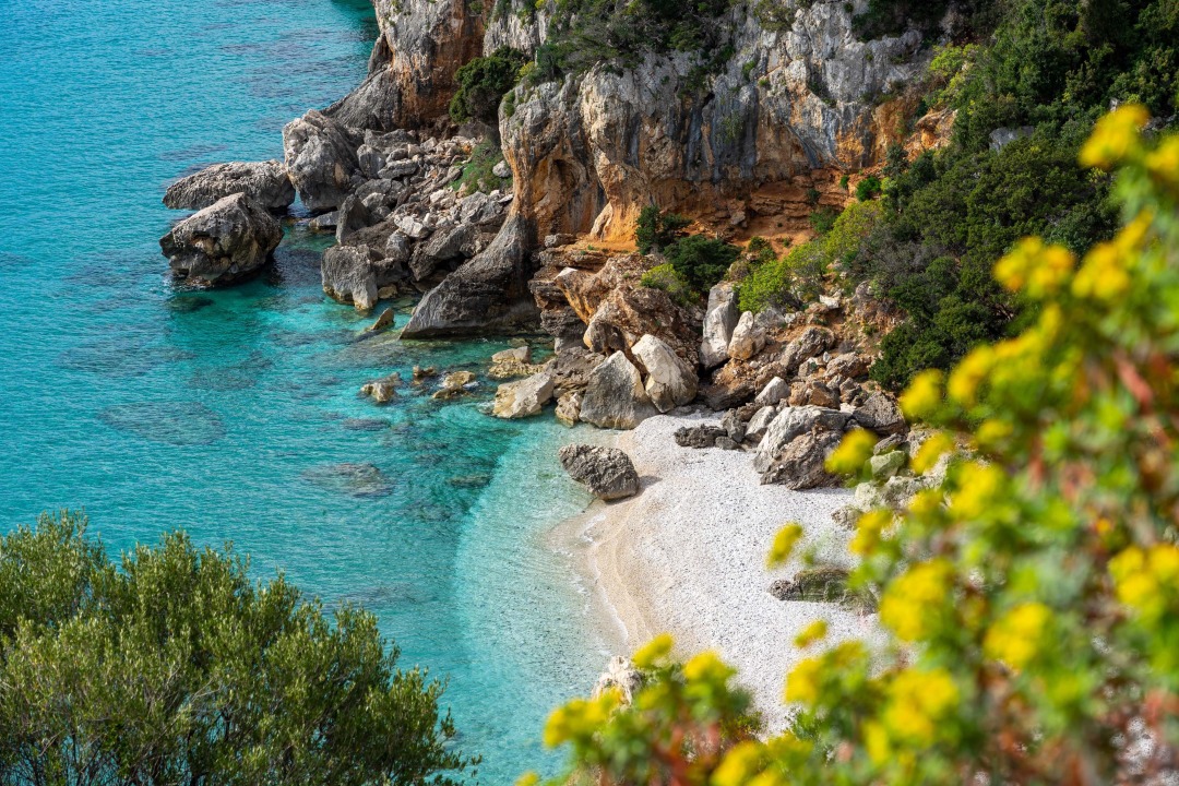 Intro_Image_Sardinie%CC%88.jpg