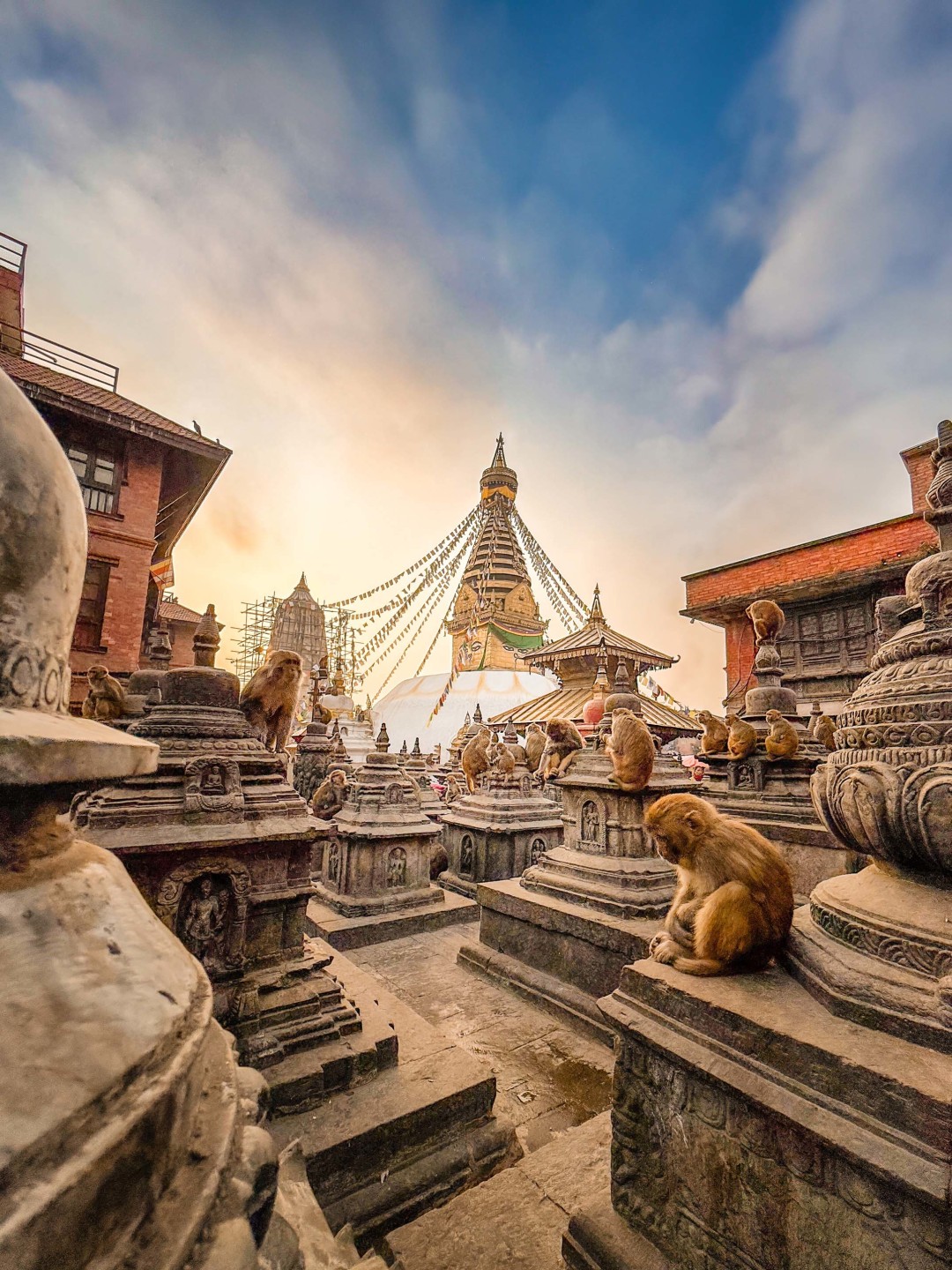 Intro_MonkeysatSwayambhunath.jpg