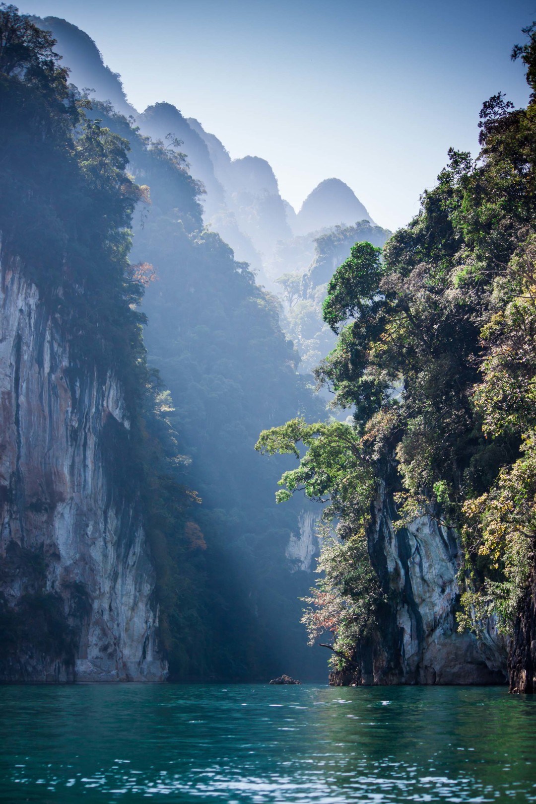 Intro_thailand_wild.jpg