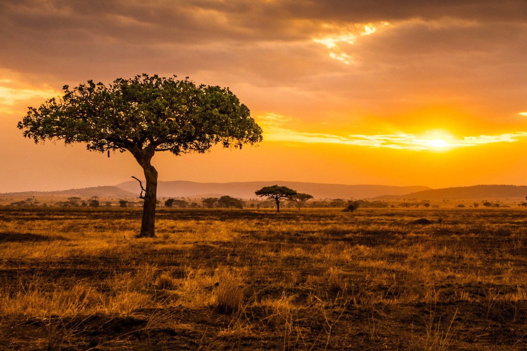 Intro_Seregenti_Sunset.jpg