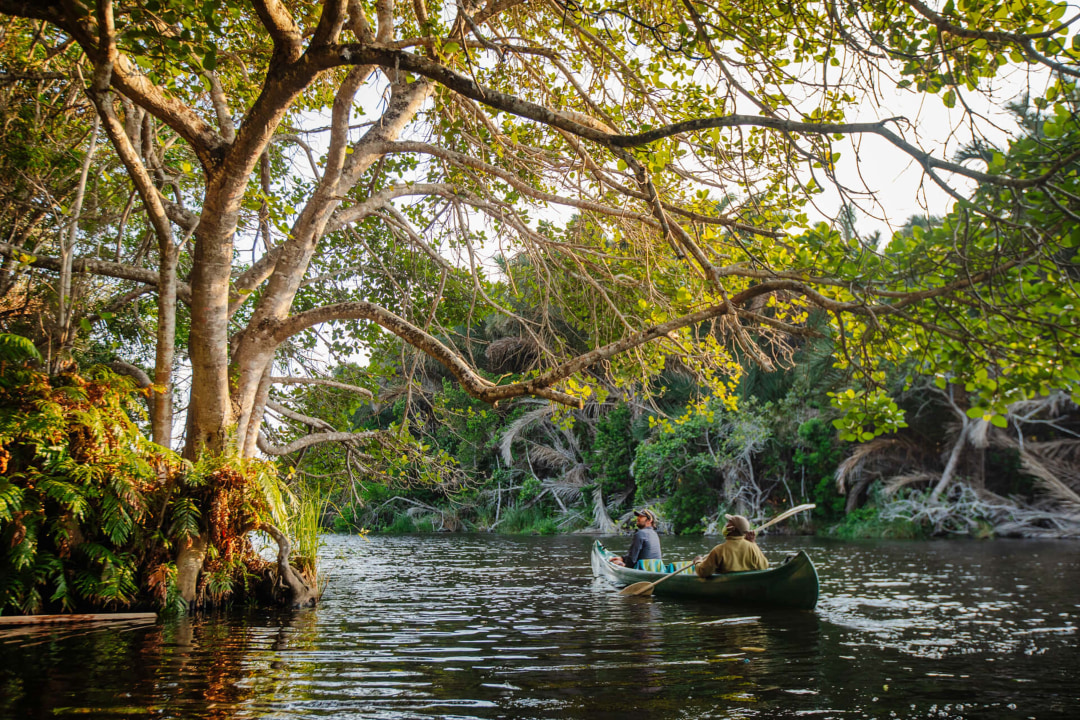 Canoe_Kosi_Forest.jpg