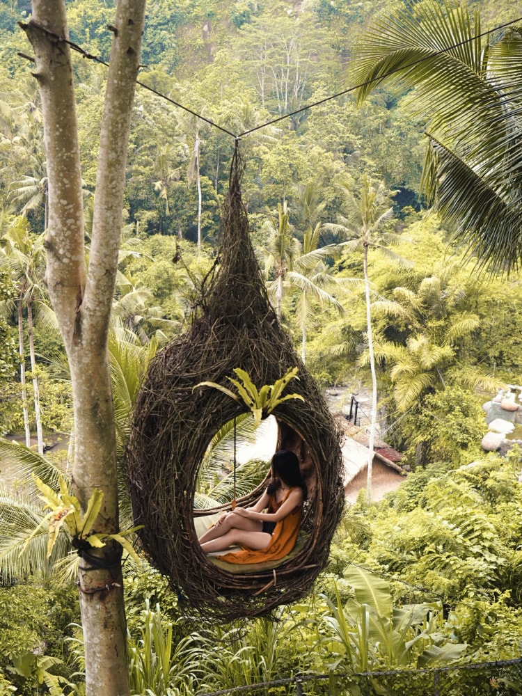 Grande Tente Toile Armée De Style Tropicale - Idéale Camping, Glamping Et Aventure Extérieure